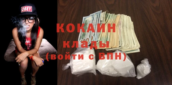 гашик Няндома