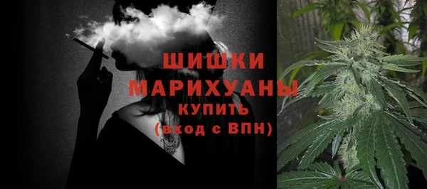 гашик Няндома