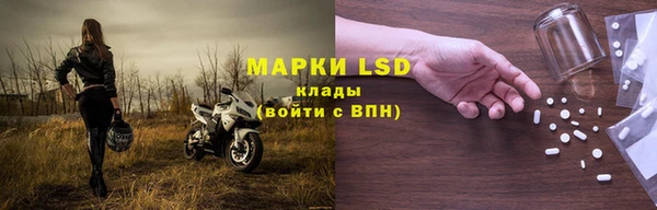гашик Няндома