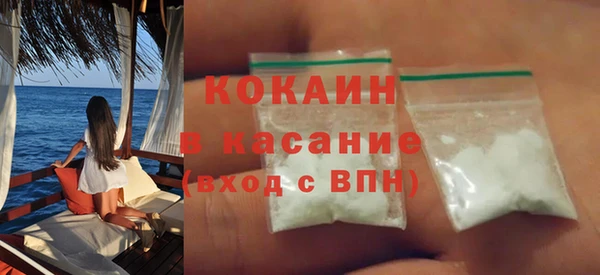 гашик Няндома