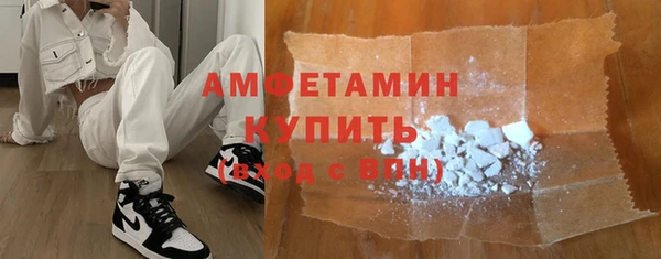 гашик Няндома