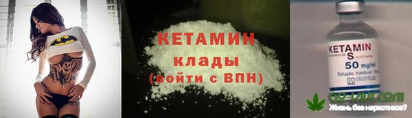 гашик Няндома