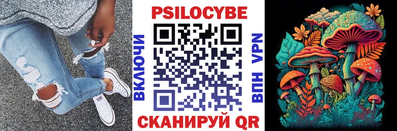 Псилоцибиновые грибы Cubensis  Фёдоровский 